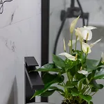 Apartmán Apartma Oleander *