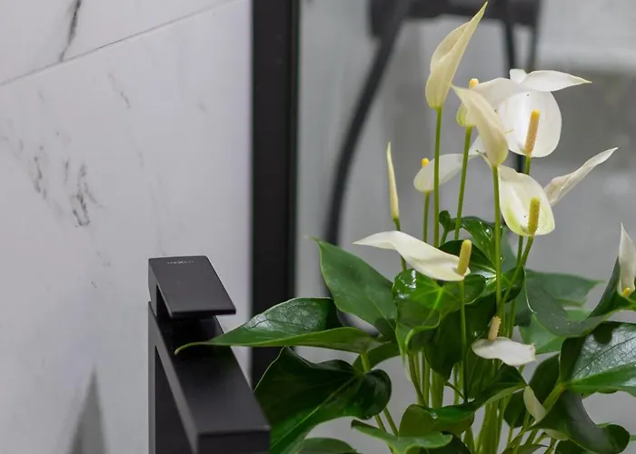 公寓 Apartma Oleander *